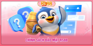 Chính Sách Bảo Mật RS88