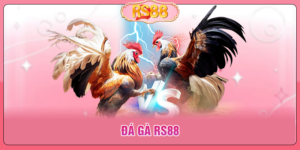 Đá Gà RS88