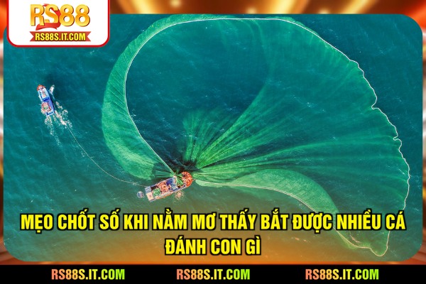 Mẹo chốt số khi nằm mơ thấy bắt được nhiều cá đánh con gì