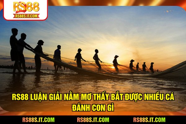 RS88 luận giải nằm mơ thấy bắt được nhiều cá đánh con gì