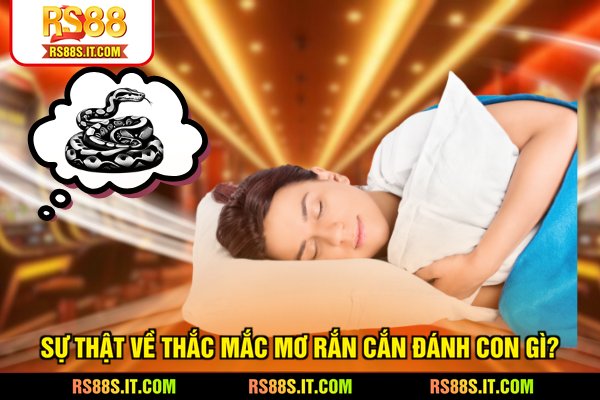 Sự thật về thắc mắc mơ rắn cắn đánh con gì?