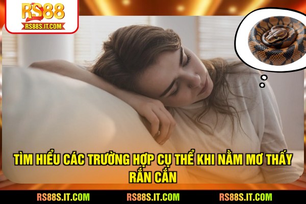 Tìm hiểu các trường hợp cụ thể khi nằm mơ thấy rắn cắn