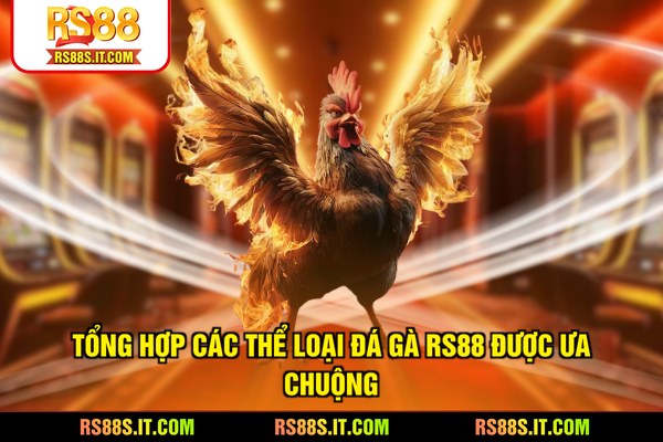 Tổng hợp các thể loại đá gà RS88 được ưa chuộng